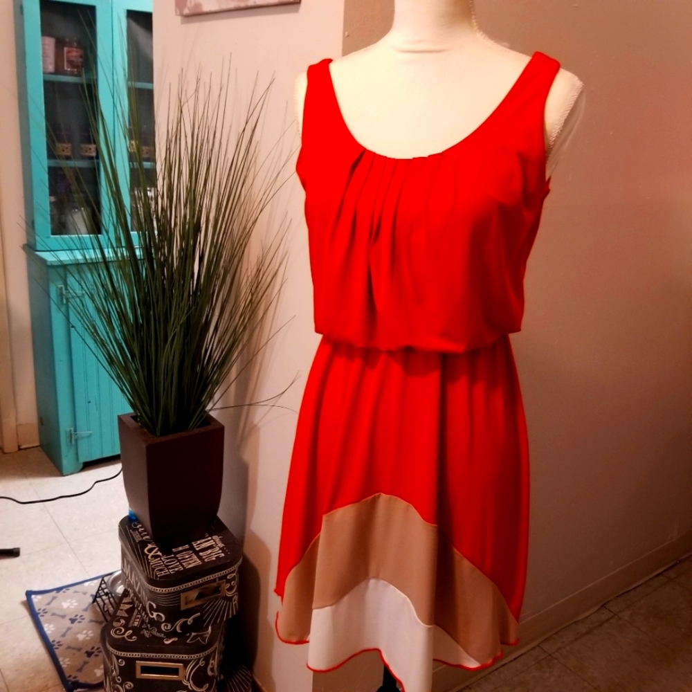 Multi Colored Dress